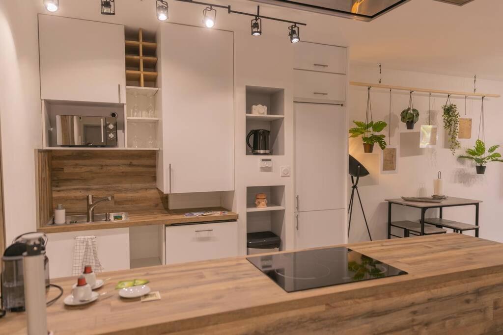 Appartement Superbe Plein Centre Avec Parking & Jardin