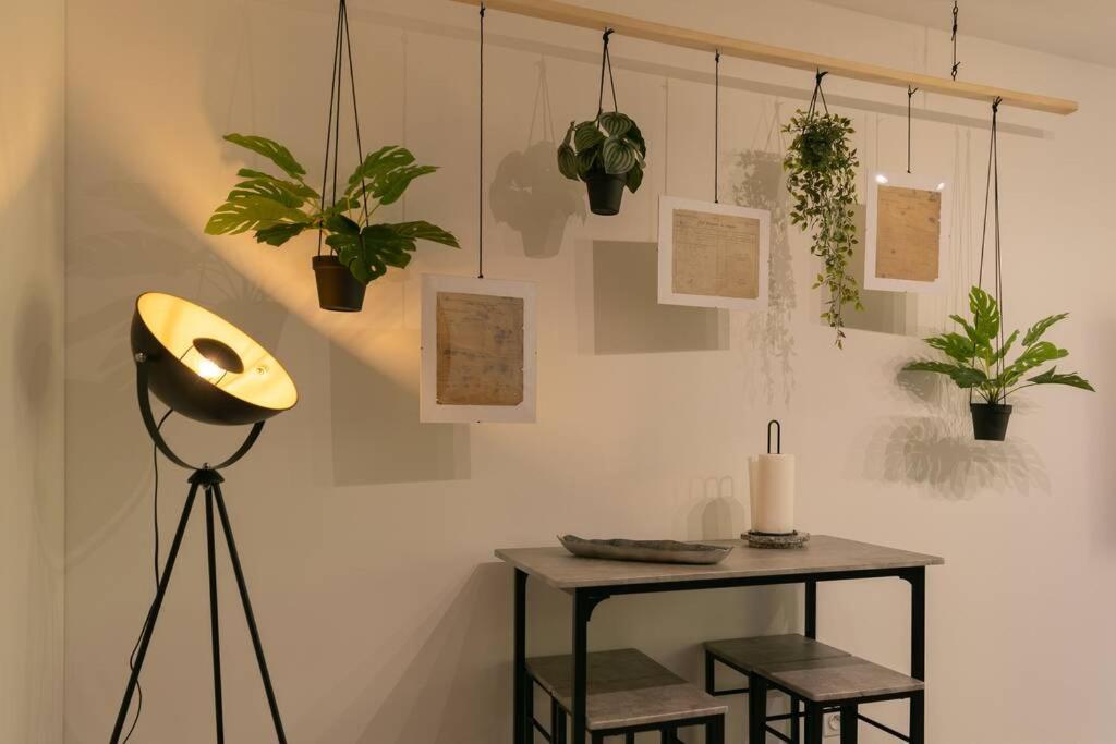 Appartement Superbe Plein Centre Avec Parking & Jardin Metz